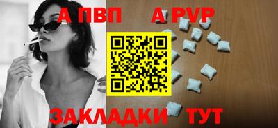 крисы Камышлов