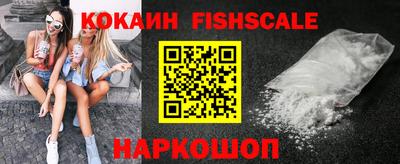 крисы Камышлов