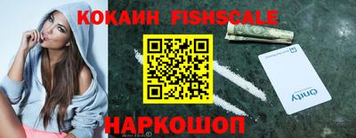 крисы Камышлов