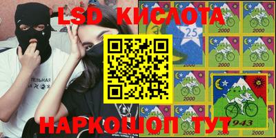 крисы Камышлов