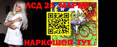 крисы Кандалакша