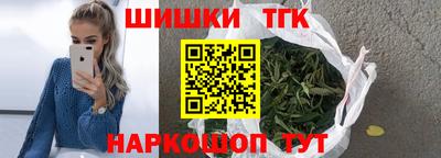 крисы Камышлов