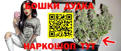 крисы Камышлов