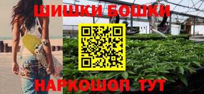 крисы Камышлов