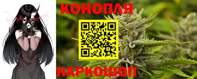 крисы Кандалакша