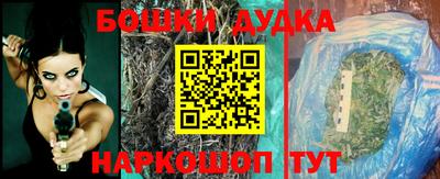крисы Кандалакша