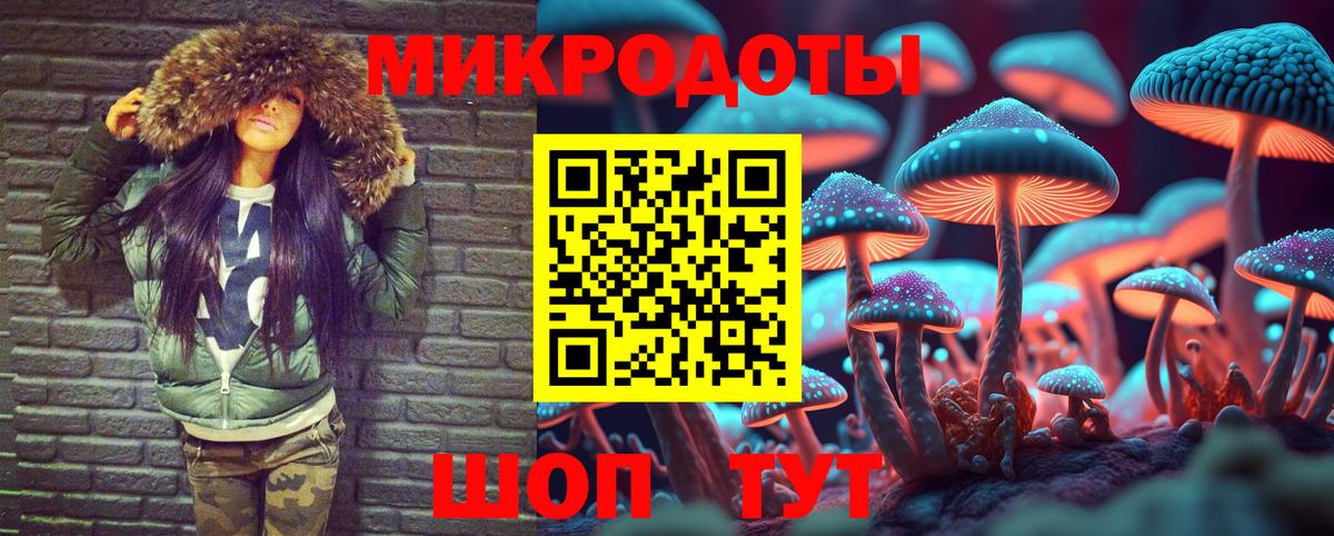 Галлюциногенные грибы Psilocybe  Вход с VPN  Псилоцибиновые грибы прущие грибы  Кропоткин 