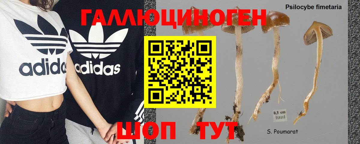 Псилоцибиновые грибы ЛСД Кропоткин